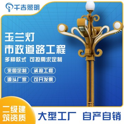 源頭廠家廣場景觀燈8/12米景區(qū)led戶外燈工程道路市政道路玉蘭燈